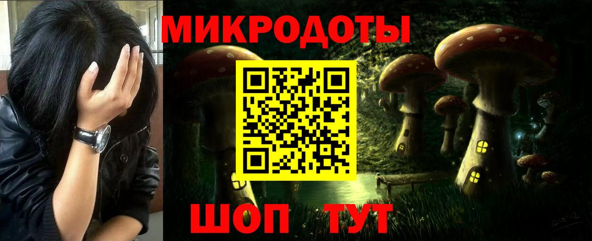 Галлюциногенные грибы Psilocybe  Вход с VPN  Хасавюрт 